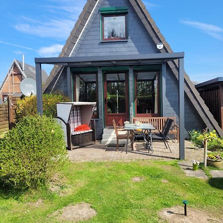 Nordseedeich Friedrichskoog-Spitz Buitenkant foto